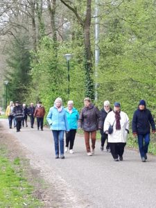 Wandelen in de omgeving